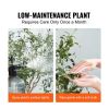 Artificial Olive Tree, 5 FT Tall Faux Plant, Secure PE Material & Anti-Tip Tilt Protection Low-Maintenance Plant