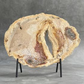 1pc Stunning Petrified Wood Stone Slab - Paleontological Fossil Display with Preserved Wood Grain & Mineral Veins (weight: 200-300g)