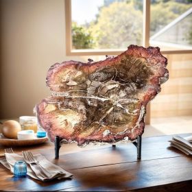 1pc Stunning Petrified Wood Stone Slab - Paleontological Fossil Display with Preserved Wood Grain & Mineral Veins (weight: 300-400g)