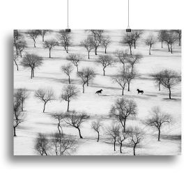 Run Canvas Print or Poster (Type: Standard Framed Canvas Print, size: 12" x 8" / 30cm x 20cm (approx))